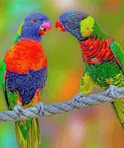 Lorikeet Birds Paint by numbers