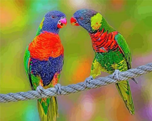 Lorikeet Birds Paint by numbers