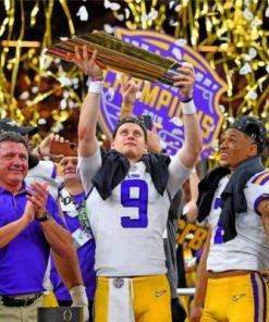 Lsu Victory paint by numbers