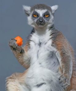 Mad Lemur paint by numbers