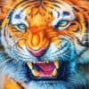 Mad Tiger Paint by numbers