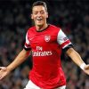Mesut Ozil Paint by numbers