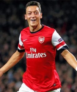 Mesut Ozil Paint by numbers