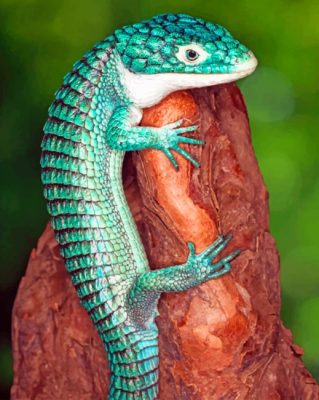 Mexican Alligator Lizard Paint by numbers