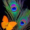 Peacock Feathers And Butterfly Paint by numbers