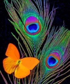 Peacock Feathers And Butterfly Paint by numbers