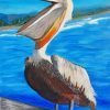 Pelican Bird Paint by numbers