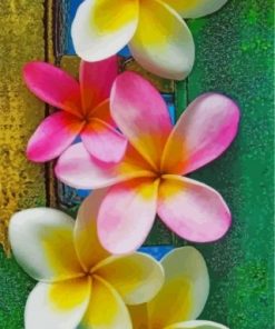 Plumeria Flowers paint by numbers