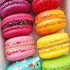 Rainbow Macarons Paint by numbers