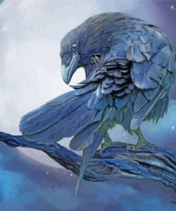 Raven And The Moon Paint by numbers