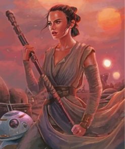 Rey Star Wars Art paint by numbers