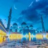 Sheikh Zayed Mosque Paint by numbers
