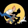 Skater Tintin Paint by numbers
