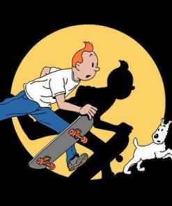 Skater Tintin Paint by numbers