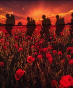 Soldiers Poppy Field Paint by numbers