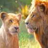 The Lion King And His Lioness Paint by numbers