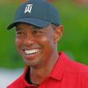 Tiger Woods Golfer Paint by numbers