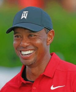 Tiger Woods Golfer Paint by numbers