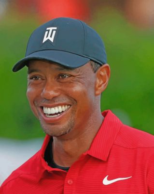 Tiger Woods Golfer Paint by numbers