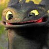Toothless Dragon Paint by numbers