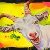 White Goat paint by numbers