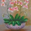 White Orchid Flowers paint by numbers