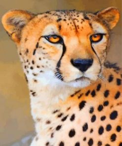 Wild Cheetah Paint by numbers