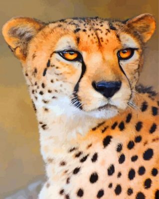 Wild Cheetah Paint by numbers