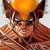 Wolverine Portrait Paint by numbers