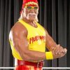 Wrestler Hulk Hogan Paint by numbers
