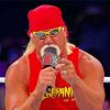 WWE Hulk Hogan Paint by numbers