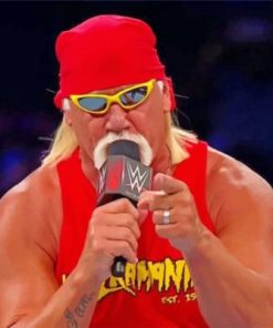 WWE Hulk Hogan Paint by numbers