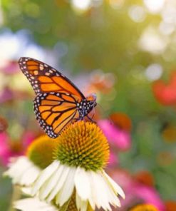 Yellow Papillon Paint by numbers