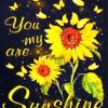 You Are My Sunshine Paint by numbers