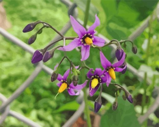 aesthetic-nightshade-flower-paint-by-numbers