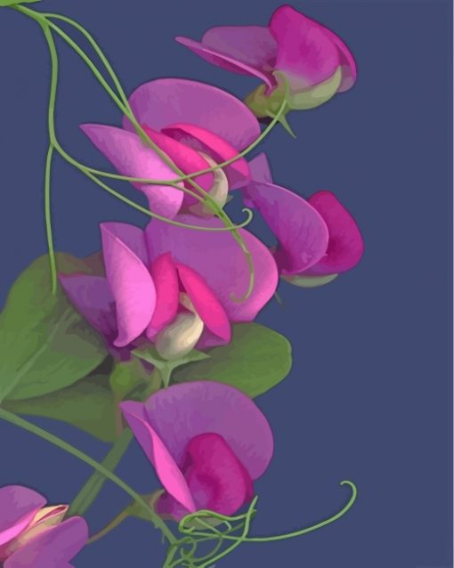 sweet-peas-paint-by-numbers