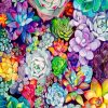 succulents-Plants-paint-by-numbers