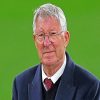 Legendary Manchester United Boss Sir Alex Ferguson paint by numbers