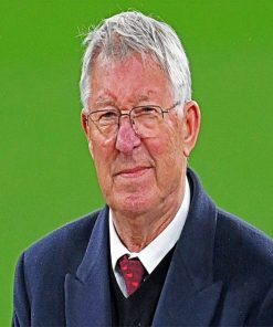 Legendary Manchester United Boss Sir Alex Ferguson paint by numbers