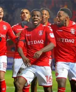 Charlton Athletic Team panels paint by numbers