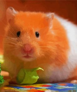 Brown And White Hamster panels paint by numbers