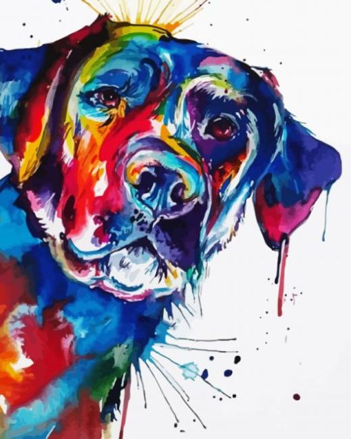 Colorful Labrador Dog Animal paint by numbers