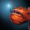 Orange Anglerfish paint by numbers