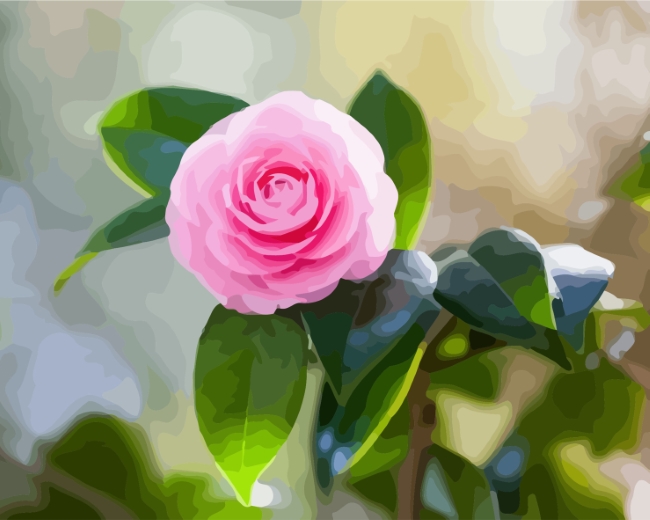 Pink Camellia paint by numbers