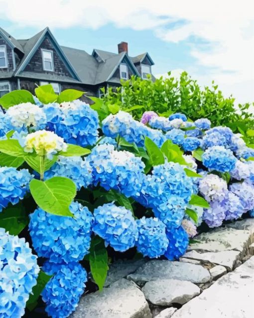 Blue Hydrangeas paint by numbe