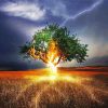 Aesthetic Lightning Tree paint by numbe