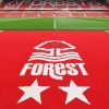 Nottingham Forest Paint By Numbers