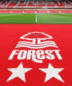 Nottingham Forest Paint By Numbers