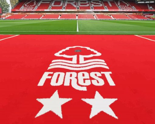 Nottingham Forest Paint By Numbers
