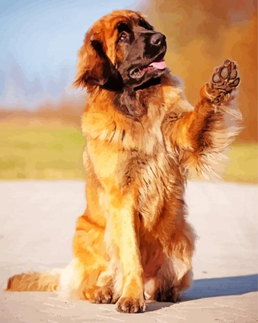 Leonberger Dog Animal paint by numbers